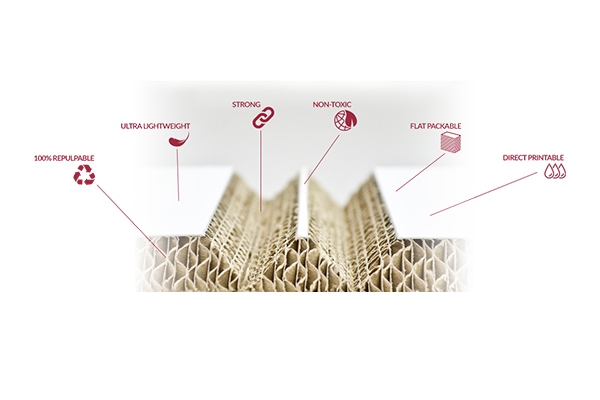 xanita board indoor